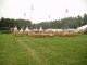 Thumbs/tn_Tohrn western event 071.jpg